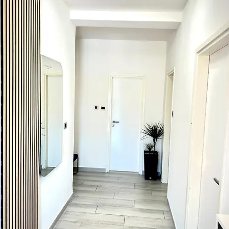 Rocan *